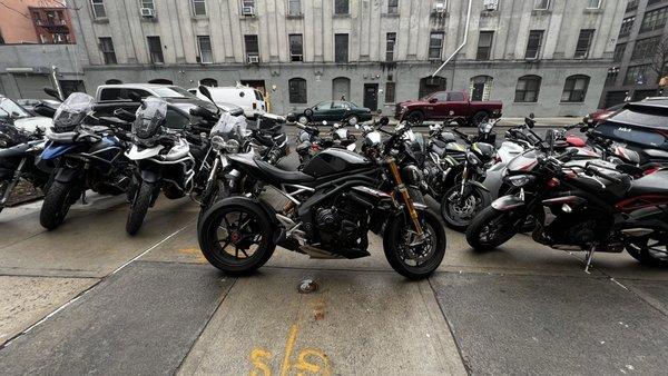 Speed Triple 1200 RS by the store front.