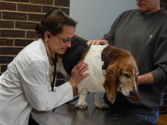 Dr. O'Neill doing an exam on a patient