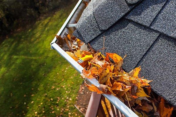 Gutters and Gutter Guards: Professionally-installed gutters and gutter guards direct rainwater away from your home and out of your basement.