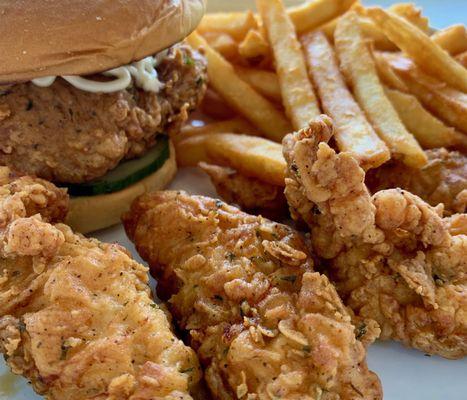 Homemade Chicken sandwich and tenders