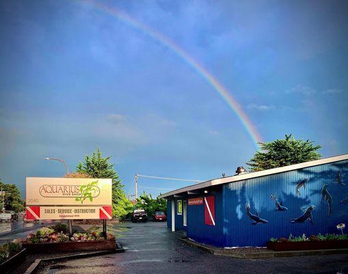 Aquarius Dive Shop