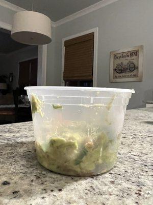 This guac hasn't been touched.