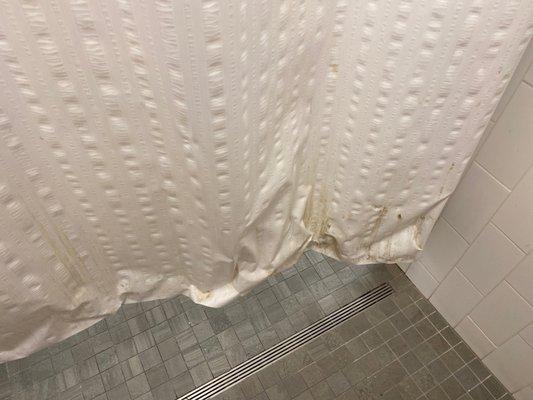 Shower curtain