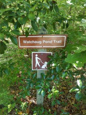 Trail Watchaug Pond.