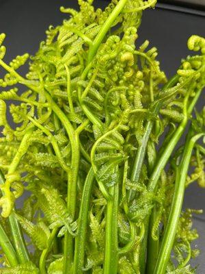 Fresh ferns to make ho'io/pohole salad