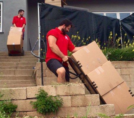 Carrying boxes