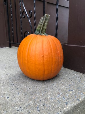 Pumpkin picked