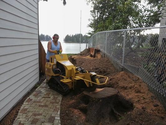 This stump grinder was easy to use and a great price