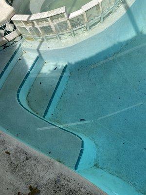 This is a real pic taken the day they said they cleaned the pool