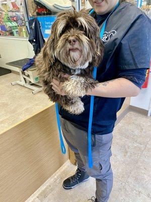 Walter enjoys his spa day at Petco Freehand