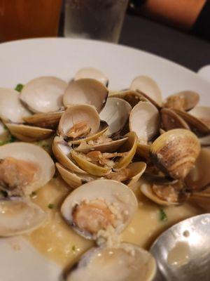 Drunken Clams were delicious.  Well balanced and not too much garlic.  Plenty of sauce for the 2 bug slices of garlic toast.