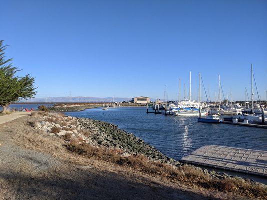 Harbor Views