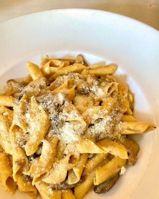 Garganelli with wild mushrooms, black truffle sauce, touch of cream.