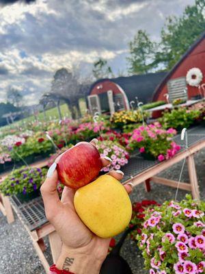 Ikenberry Orchards