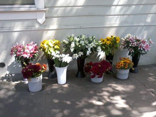 A small but stunning September 2011 selection! I scored Dahlias @ $6