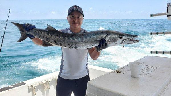 47.5 inches long, 7 inches wide. My first barracuda and all around personal best fish.