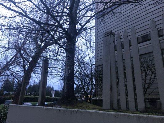 The apartment complex has fence after fence in the same condition. This fence is the same condition when I moved in 1.5 years ago.