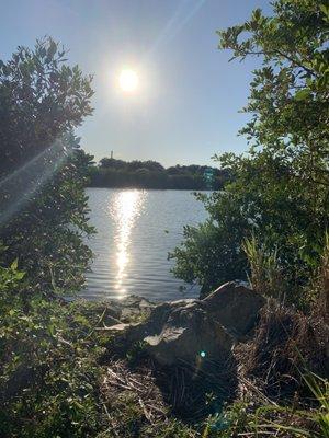 Oldsmar Trail