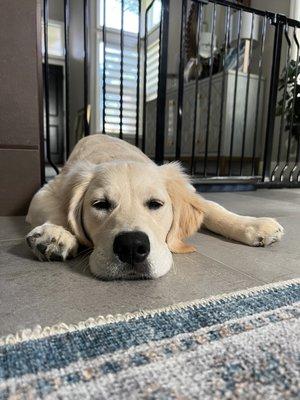 Tuckered from her training