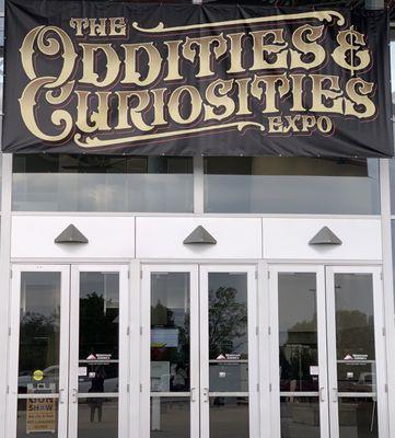 The Oddities & Curiosity Expo