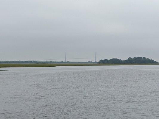 View of the bridge from Blythe Island Regional Park, Brunswick