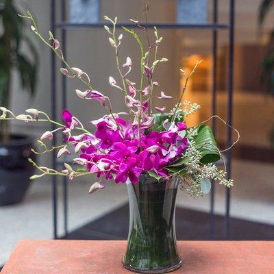 Fuchsia colored Dendrobium Orchids from Louis Barry Florist