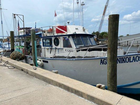 Sponge boat.