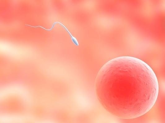 Bellingham Ivf and Infertility Care