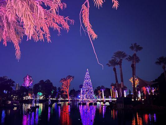 Floating Christmas Tree