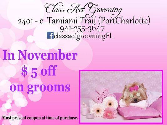 This month $ 5 off on grooms.