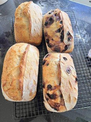 Sourdough organic blueberry and lemon zest