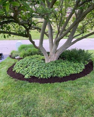 Give your yard a new look this year with a new design and some fresh mulch