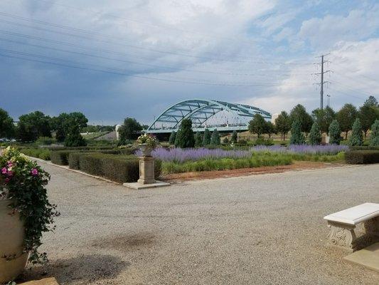 Looking towards the Speer Boulevard Bridge across a South Platte River that is obscured by shrubs.