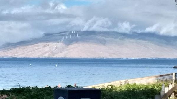 Lanai in background