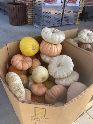 Pumpkins  !!