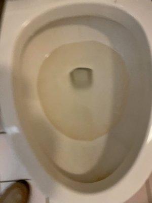 Filthy toilet