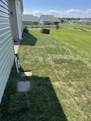 Old Sod taken up under new  construction
New sod installed