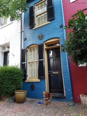 Spite House (Cute Dog May Not Be Pressnt During Your Visit)