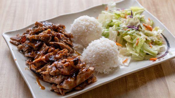 Chicken & Pork teriyaki