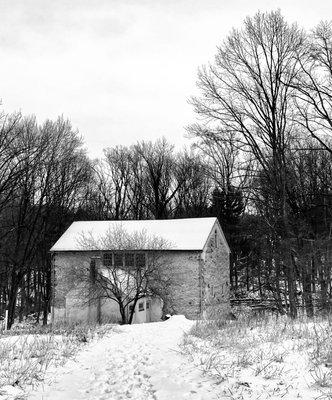 Saunders Woods Preserve - Natural Lands