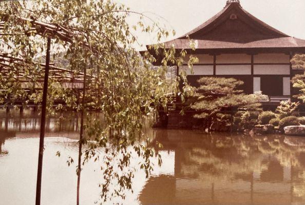 May 1-15, 1982. Japan. Whether the gardens were in : USA, Europe or Japan we loved visiting them! NYC.