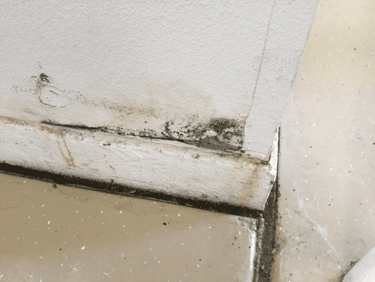 Mold found heater plenum