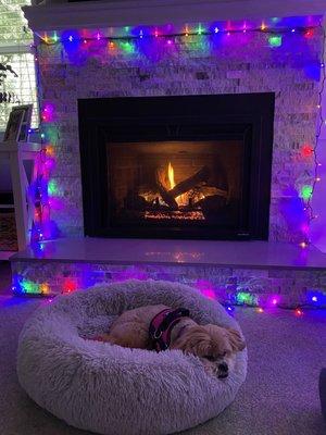 Fireplace after being serviced, my pups new favorite spot.