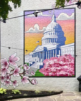 Backyard DC themed private mural commission with Cherry blossoms for our clients in North Capital in Washington DC