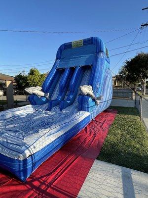 Waterslide 15W x 22L