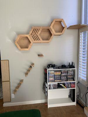 Cat steps, hexagon shelves, and corner cat bed installed on the wall.