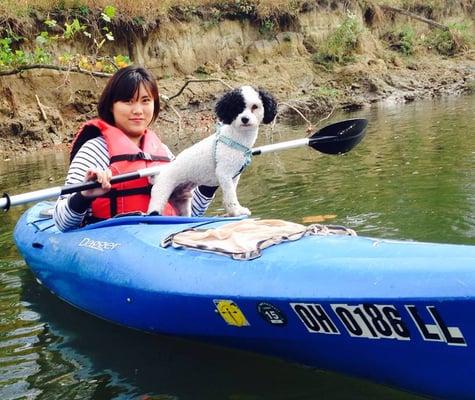 Take your dog kayaking