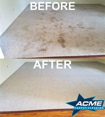 Heavily soiled carpet before and after.
 New customers in Alvin.