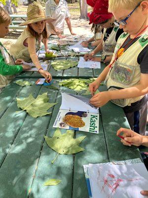 Leaf rubbings in our repurposed journals