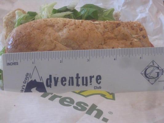 5.375 inch version of the 6 inch sub